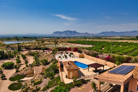 Landejendom i Albatera, Alicante, Albatera - € 540.000 | Ref: ALBA DMC Ali - foto 48