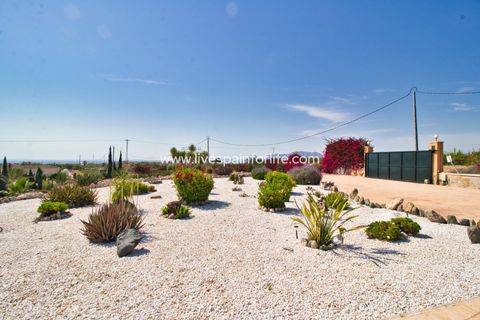 Landejendom i Albatera, Alicante, Albatera - € 540.000 | Ref: ALBA DMC Ali - foto 49