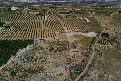 Terra a Salinas, Alicante, Salinas - € 75.000 | Ref: SB22006 - foto 3