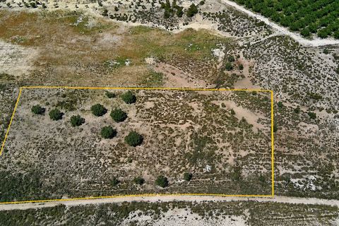 Terra a Salinas, Alicante, Salinas - € 75.000 | Ref: SB22006 - foto 5