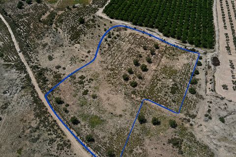 Terra a Salinas, Alicante, Salinas - € 75.000 | Ref: SB22006 - foto 7