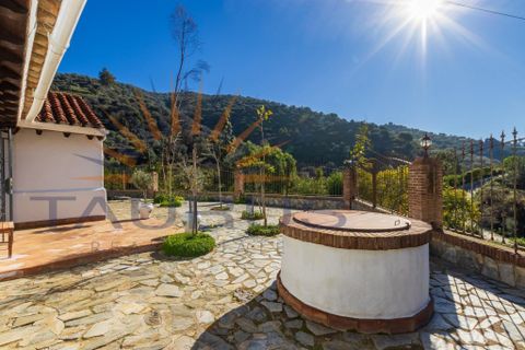 Villa i Arenas De Velez, Malaga, Arenas De Velez - € 430.000 | Ref: MS429 - foto 19