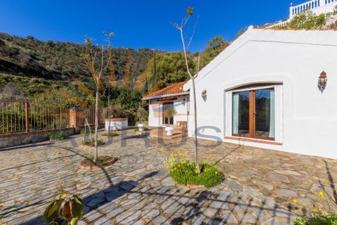 Villa i Arenas De Velez, Malaga, Arenas De Velez - € 430.000 | Ref: MS429 - foto 20