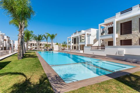 Rækkehus i Torrevieja, Alicante, Torrevieja - € 295.000 | Ref: 23814669-02/10701 - foto 47