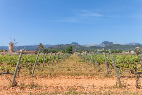 Landsbyhus i Consell, Mallorca, Consell - € 850.000 | Ref: SWOSTM2743 - foto 19