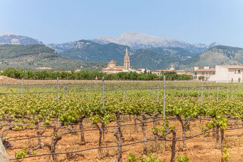 Landsbyhus i Consell, Mallorca, Consell - € 850.000 | Ref: SWOSTM2743 - foto 21