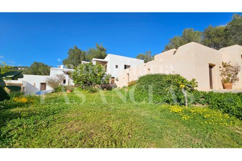 Farm hus i Jesus, Ibiza, Jesus - € 3.500.000 | Ref: 933-7 - foto 4