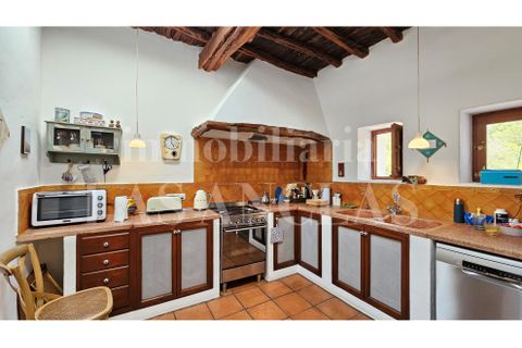 Farm hus i Jesus, Ibiza, Jesus - € 3.500.000 | Ref: 933-7 - foto 15
