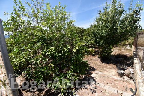 Villa i Sueca, Valencia, Sueca - € 390.000 | Ref: 071NUM390.FV/3716 - foto 28