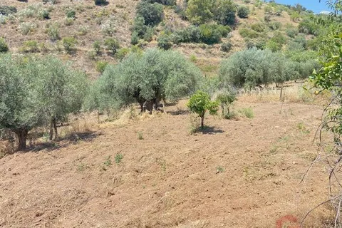 Finca i Comares, Malaga, Comares - € 120.000 | Ref: J975 - foto 4