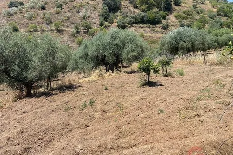 Finca i Comares, Malaga, Comares - € 120.000 | Ref: J975 - foto 5