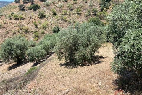 Finca i Comares, Malaga, Comares - € 120.000 | Ref: J975 - foto 20