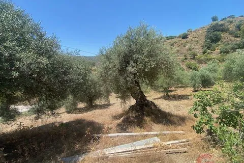 Finca i Comares, Malaga, Comares - € 120.000 | Ref: J975 - foto 21