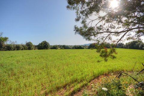 Terra a Santanyi, Mallorca, Santanyi - € 350.000 | Ref: 6060 - foto 3
