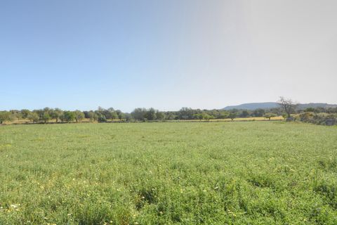 Terra a Santanyi, Mallorca, Santanyi - € 350.000 | Ref: 6060 - foto 4