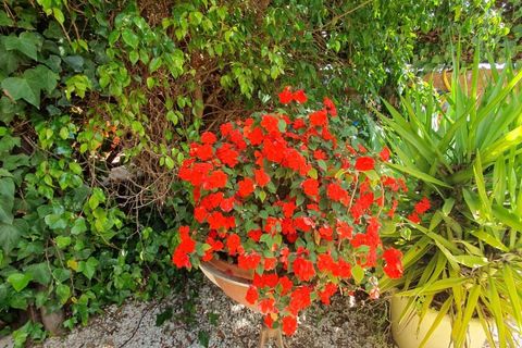 Landejendom i Monda, Malaga, Monda - € 249.000 | Ref: EXP09896/8930 - foto 28