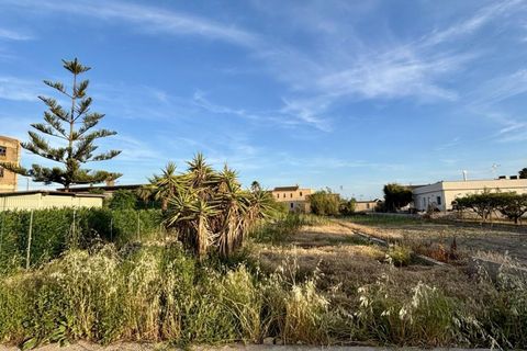 Villa a Deltebre, Tarragona, Deltebre - € 465.000 | Ref: EXP14557/8930 - foto 7