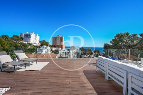 Villa a Calvia, Mallorca, Calvia - € 3.900.000 | Ref: VPM2606001 - foto 34