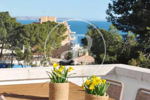 Villa a Calvia, Mallorca, Calvia - € 3.900.000 | Ref: VPM2606001 - foto 36