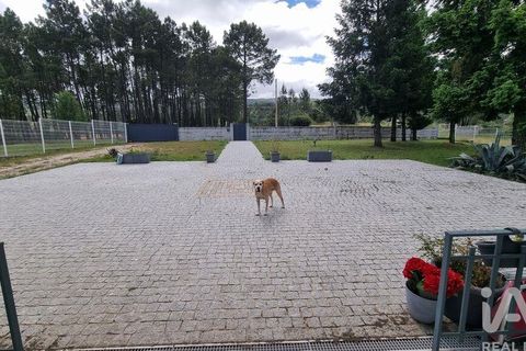 Byhus i Celorico da Beira, Guarda, Celorico da Beira - € 229.000 | Ref: 934493 - foto 26