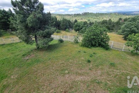 Byhus i Celorico da Beira, Guarda, Celorico da Beira - € 229.000 | Ref: 934493 - foto 27
