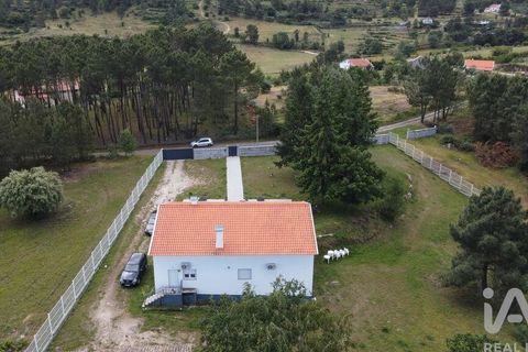 Byhus i Celorico da Beira, Guarda, Celorico da Beira - € 229.000 | Ref: 934493 - foto 34