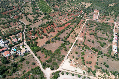 Terra a Loule, Faro, Loule - € 52.000 | Ref: AF180 - foto 3
