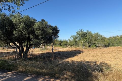 Helårsgrund i Albufeira, Faro, Albufeira - € 169.900 | Ref: AF181 - foto 1