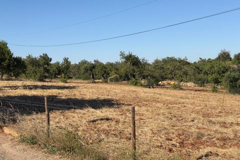 Helårsgrund i Albufeira, Faro, Albufeira - € 169.900 | Ref: AF181 - foto 4