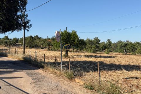 Helårsgrund i Albufeira, Faro, Albufeira - € 169.900 | Ref: AF181 - foto 5