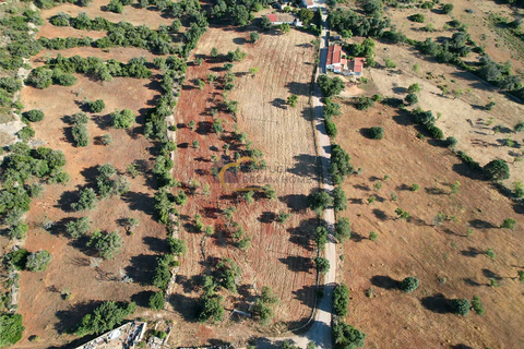 Helårsgrund i Albufeira, Faro, Albufeira - € 169.900 | Ref: AF181 - foto 6