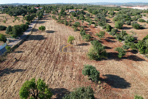 Helårsgrund i Albufeira, Faro, Albufeira - € 169.900 | Ref: AF181 - foto 14