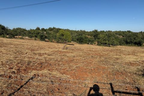 Helårsgrund i Albufeira, Faro, Albufeira - € 169.900 | Ref: AF181 - foto 15