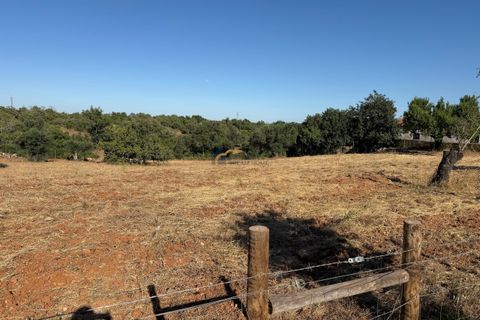 Helårsgrund i Albufeira, Faro, Albufeira - € 169.900 | Ref: AF181 - foto 16