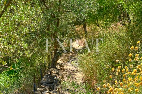 Landejendom i Competa, Malaga, Competa - € 445.000 | Ref: 0499 - foto 7