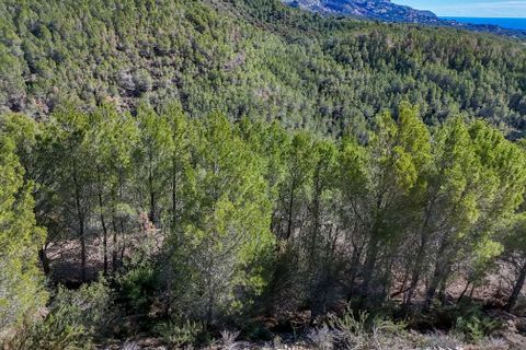 Terreno en Altea, Alicante, Altea - € 199.000 | Ref: 1545 - photo 4