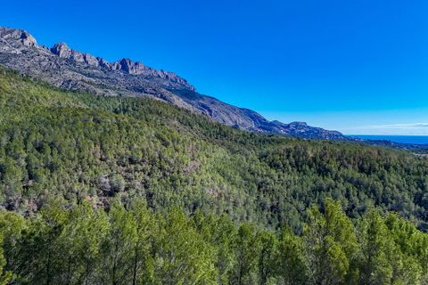 Terreno en Altea, Alicante, Altea - € 199.000 | Ref: 1545 - photo 5