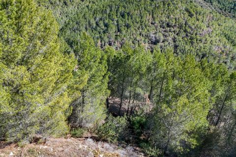 Terreno en Altea, Alicante, Altea - € 199.000 | Ref: 1545 - photo 8
