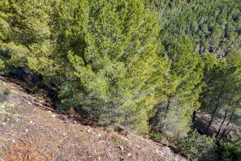 Terreno en Altea, Alicante, Altea - € 199.000 | Ref: 1545 - photo 9