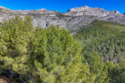 Terreno en Altea, Alicante, Altea - € 199.000 | Ref: 1545 - photo 10