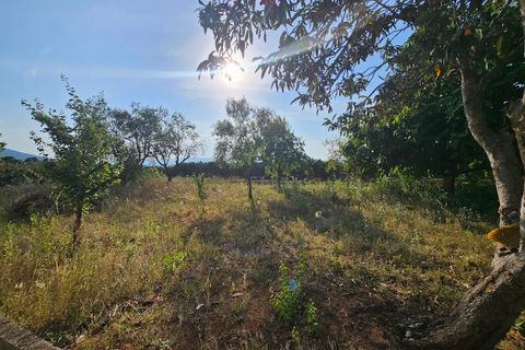 Landejendom i Canals, Valencia, Canals - € 249.000 | Ref: EB15253 - foto 37