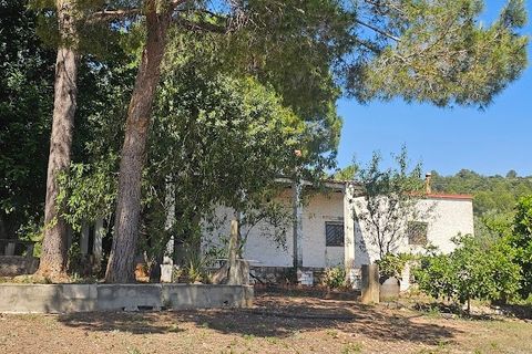 Landejendom i Canals, Valencia, Canals - € 160.000 | Ref: EB15252 - foto 3
