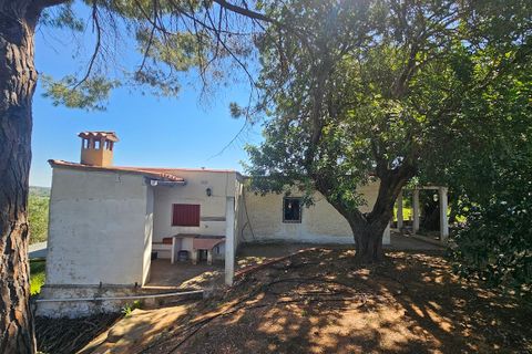 Landejendom i Canals, Valencia, Canals - € 160.000 | Ref: EB15252 - foto 4
