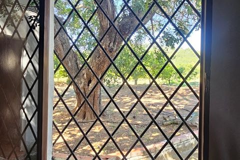 Landejendom i Canals, Valencia, Canals - € 160.000 | Ref: EB15252 - foto 29