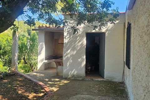 Landejendom i Canals, Valencia, Canals - € 160.000 | Ref: EB15252 - foto 33