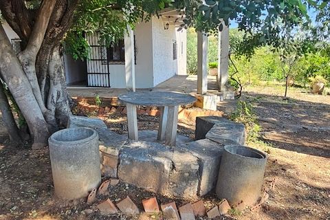 Landejendom i Canals, Valencia, Canals - € 160.000 | Ref: EB15252 - foto 37