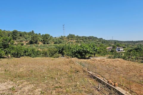 Landejendom i Canals, Valencia, Canals - € 160.000 | Ref: EB15252 - foto 41