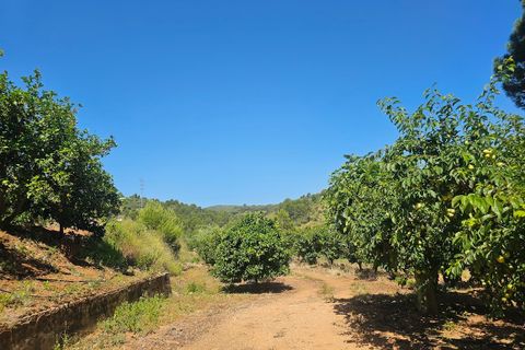 Landejendom i Canals, Valencia, Canals - € 160.000 | Ref: EB15252 - foto 46