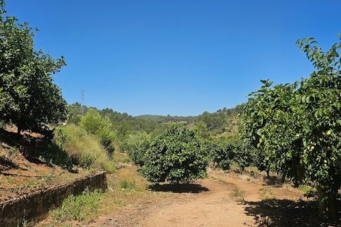 Landejendom i Canals, Valencia, Canals - € 160.000 | Ref: EB15252 - foto 47