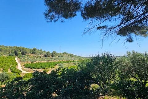 Landejendom i Canals, Valencia, Canals - € 160.000 | Ref: EB15252 - foto 49